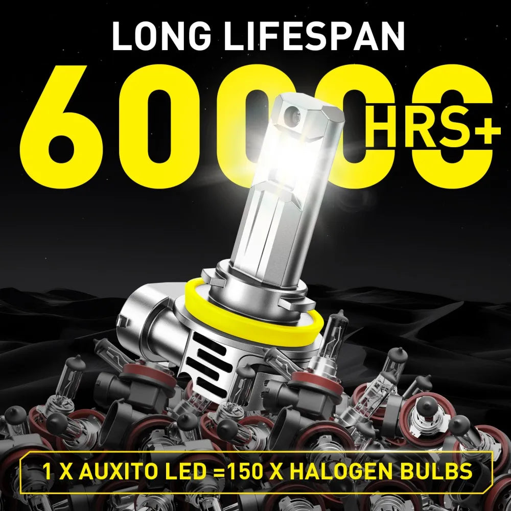 Nahaufnahme einer hellen LED-Schein-Glühbirne und verschiedener Halogenlampen, die eine lange Lebensdauer hervorhebt.