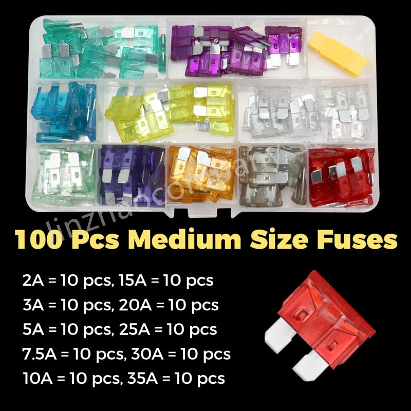 A plastic kit containing 100 medium size fuses in various amperage ratings for automotive use