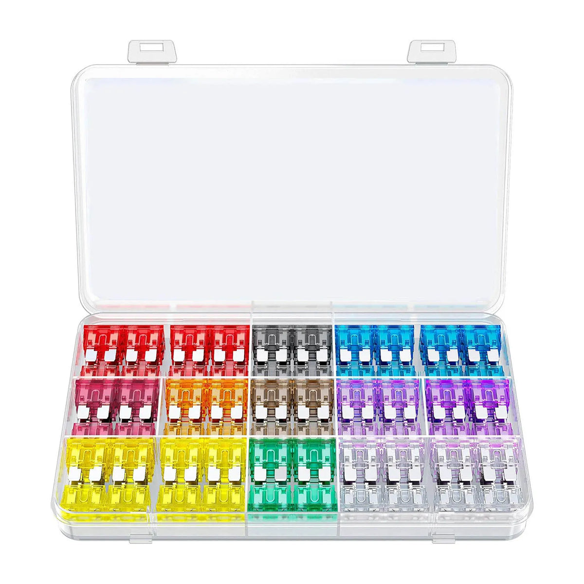 A clear plastic case containing multiple car fuses and related components.