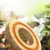 Un diffuseur de voiture en bois rond avec des anneaux concentriques posé sur de la mousse et du feuillage vert.