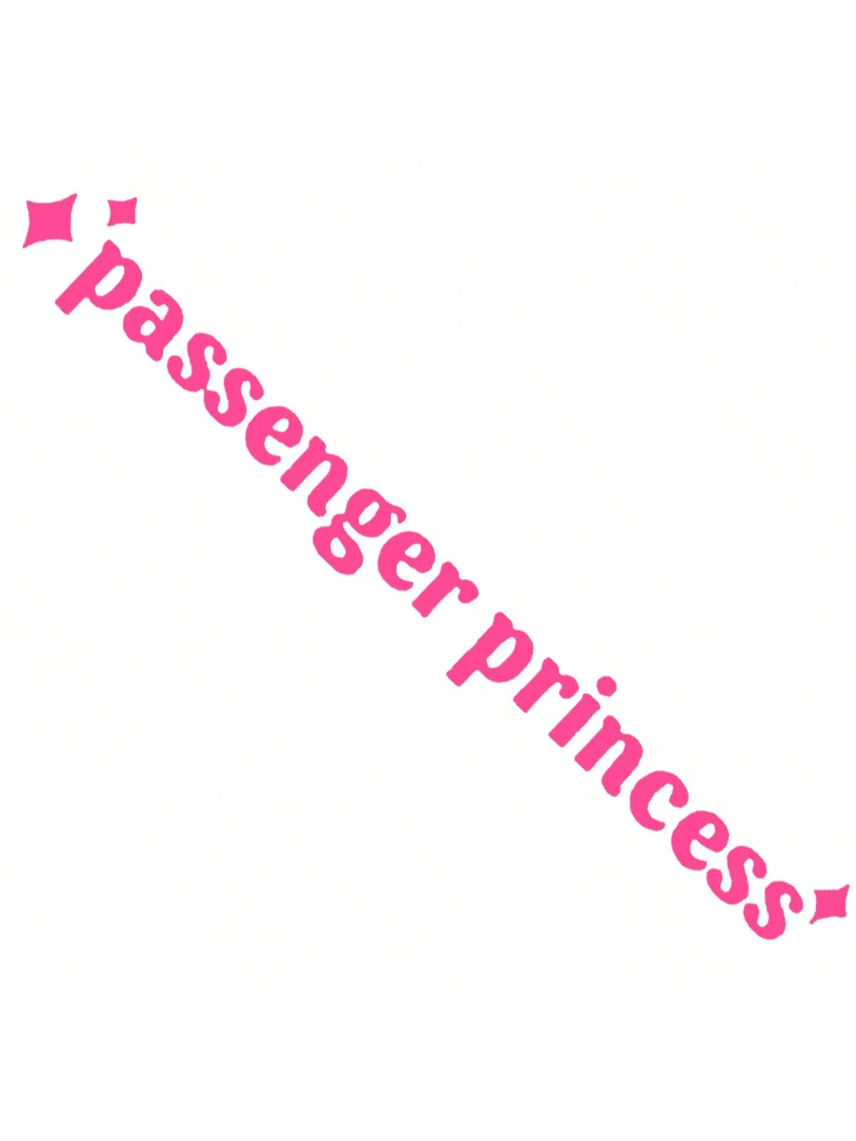 Pink text reading passenger princess on a white background