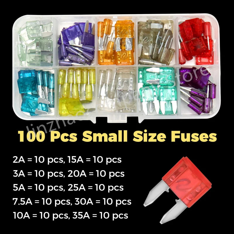 A plastic kit containing various small size fuses for automotive use, packaged in compartments.