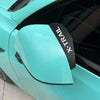 Close-up of a teal car's rearview mirror with an X-trail eyebrow cover visible.