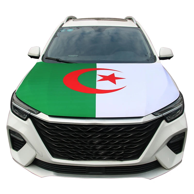 سيارة بيضاء بتصميم علم أخضر وأحمر وأبيض على غطاء المحرك