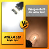 Vergleich einer gelblichen Halogen-Glühbirnenscheinkraft mit einem hellen Oxilam-LED-Licht.