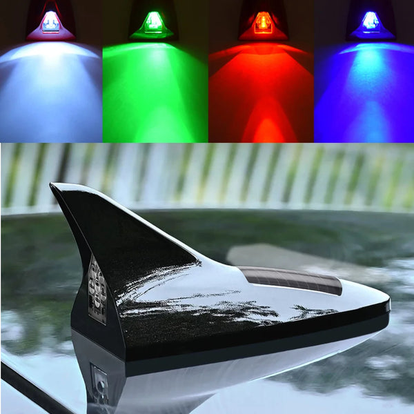 A close-up view of a black LED warning tail light antenna mounted on a vehicle, reflecting in water.