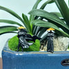 A set of black mini samurai statues with gold hats displayed in a potted green plant arrangement.