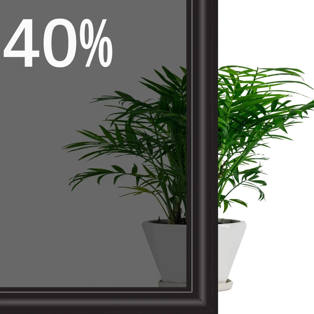 Eine in einem dunklen Rahmen präsentierte Topfpflanze mit einem 40% Rabatt-Schild.
