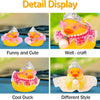 A display of decorative rubber ducks featuring various styles including Funny and Cute, Well-craft, Cool Duck, and Different 