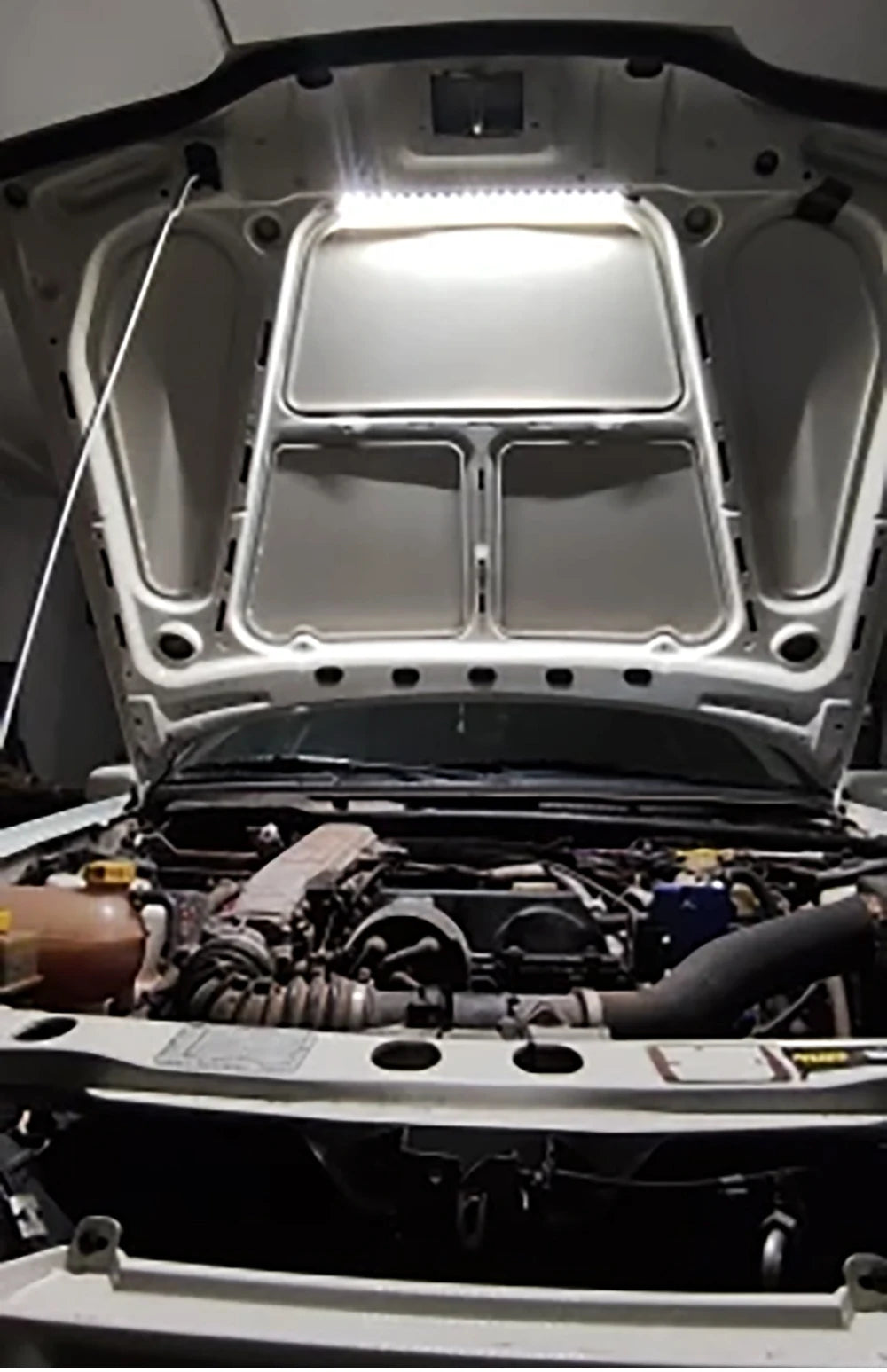 Under hood LED work light with automatic on/off switch installed in a vehicle engine bay.