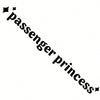Black text spelling out Passenger Princess with small star accents.