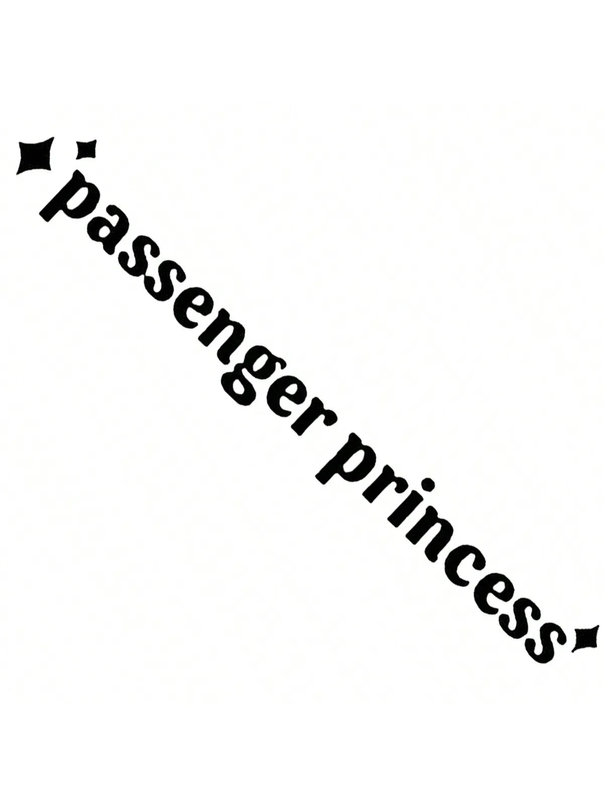 Black text spelling out Passenger Princess with small star accents.