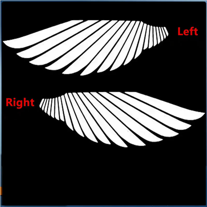 Two white shadows of car door shapes are displayed, labeled Left and Right.
