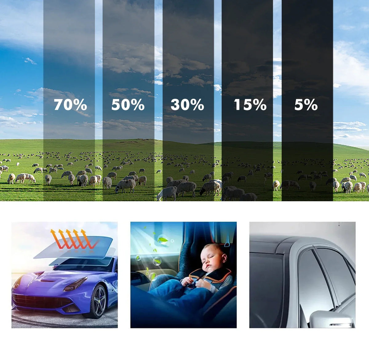 Barres verticales montrant l'efficacité du film teinté, avec des images de voiture et de bébé