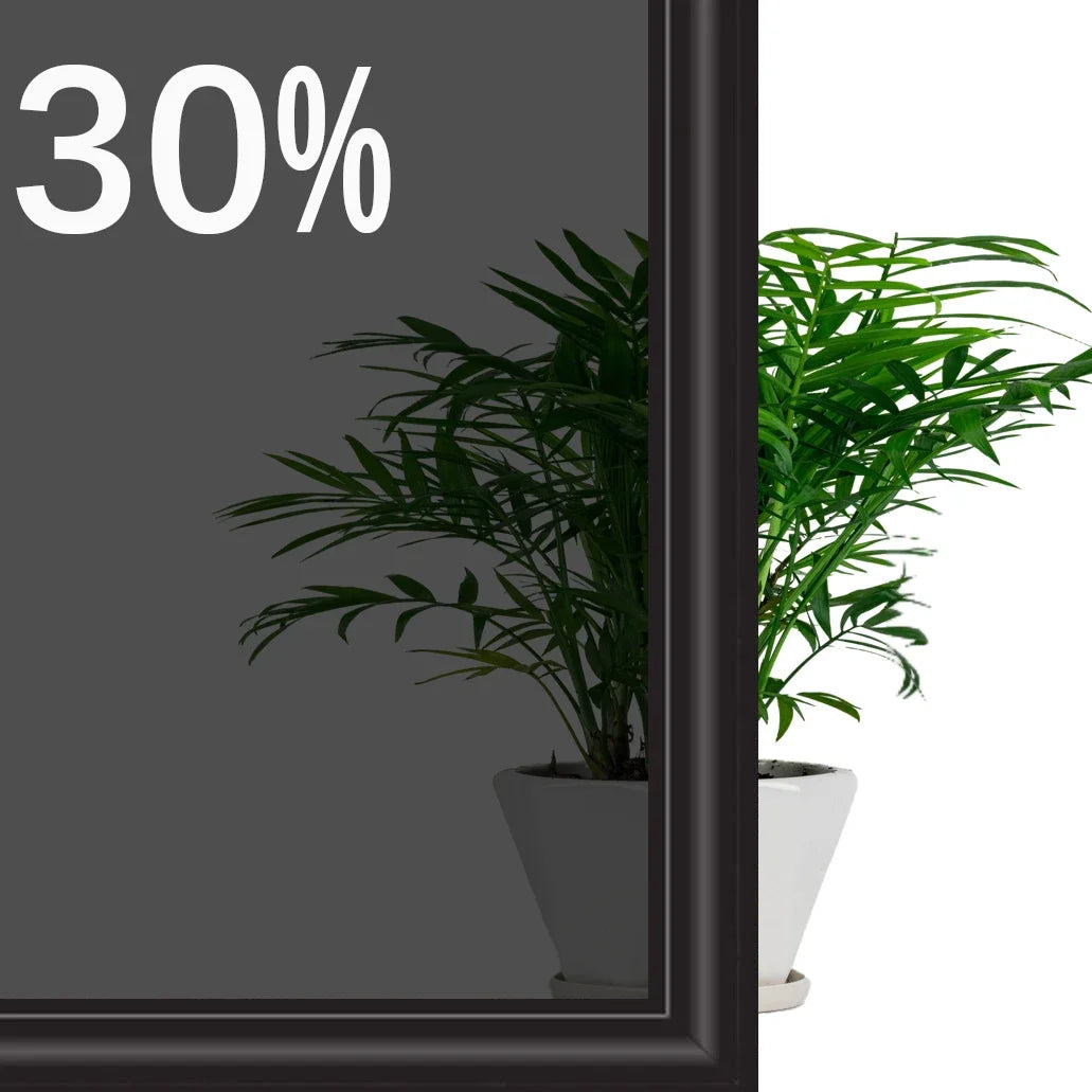 Topf mit grüner Pflanze in dunkem Rahmen, mit 30% Rabatt-Text sichtbar