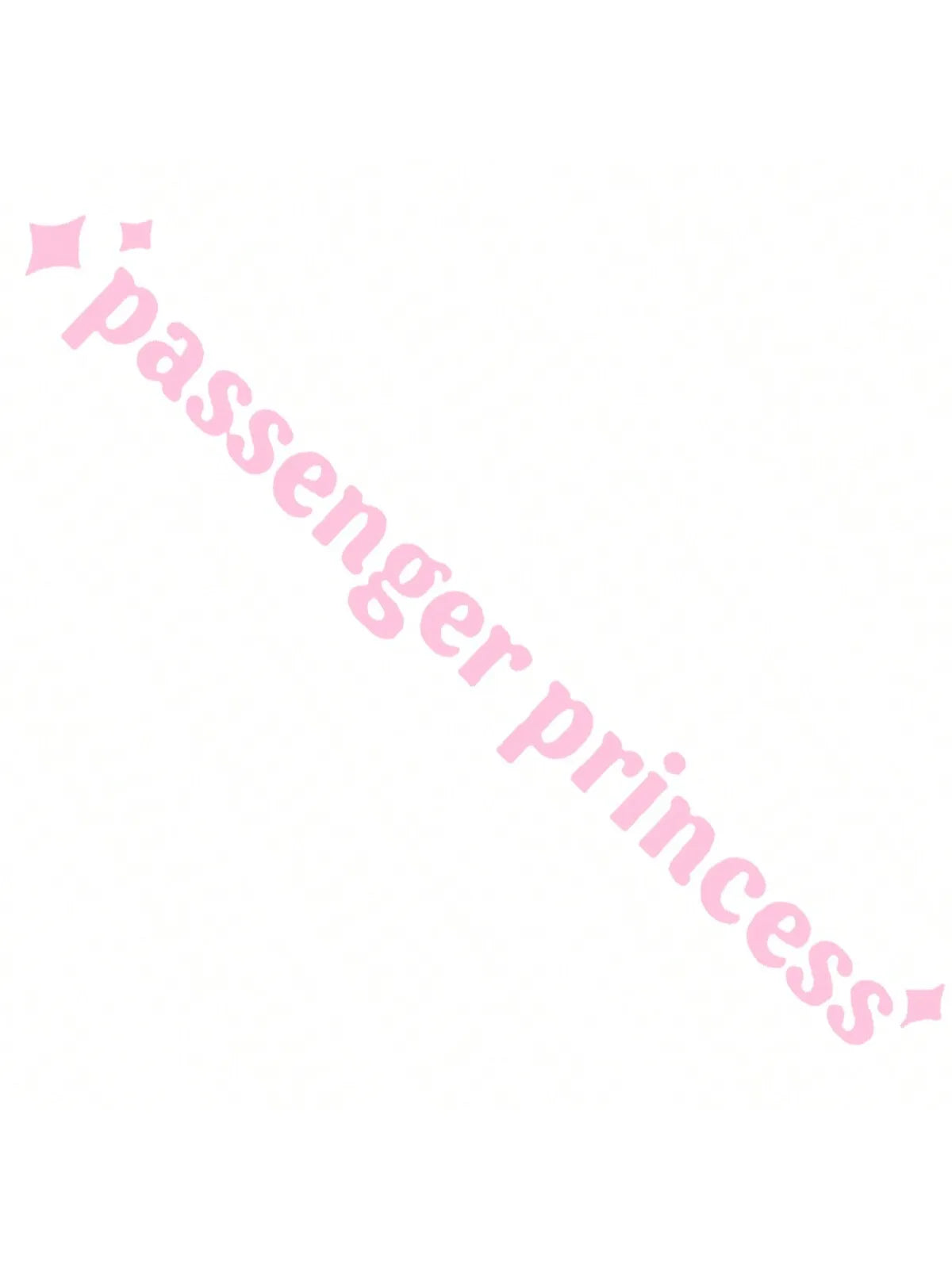 Pink decal featuring the text Passenger Princess on a white background.