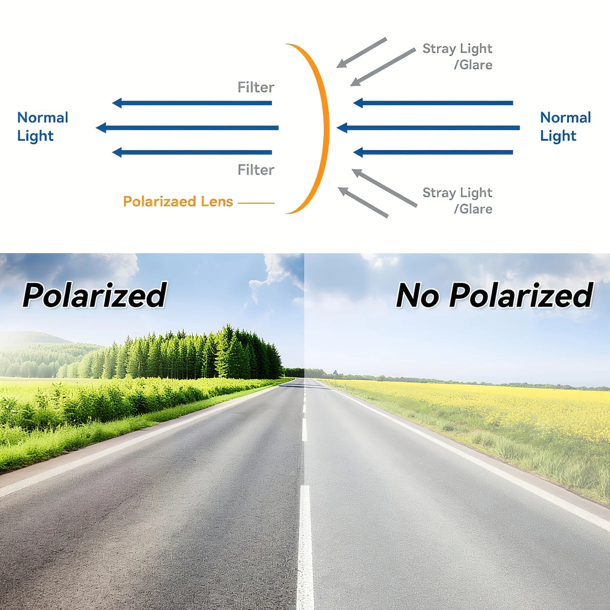 Diagram showing how a polarized lens filters stray light and glare from normal light.