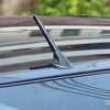 A close-up view of a carbon fiber radio antenna mounted on the roof of a car.